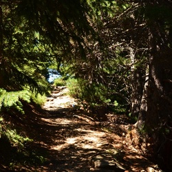 2015-07 Savoie/Orgère/DSC_0428.JPG